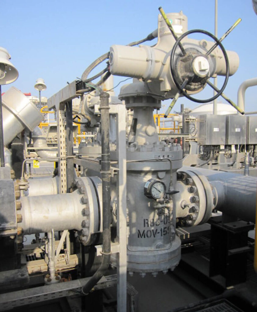 Valves Corporation B.V. Double Block and Bleed dual expanding Plug